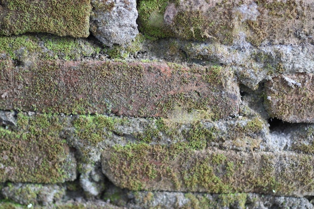 Foto de textura de ladrillo con cemento en la pared.