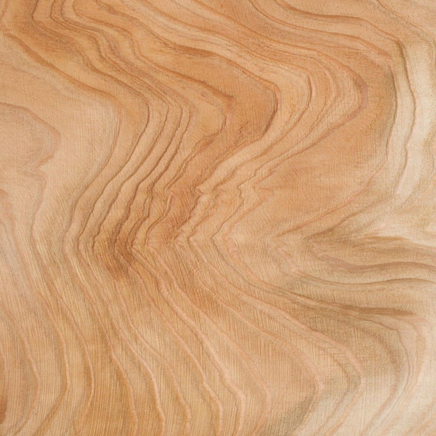 Foto textura de madera