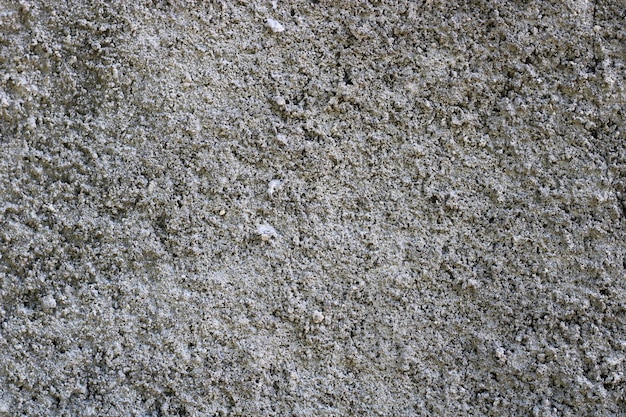 Foto de textura de pared rugosa gris