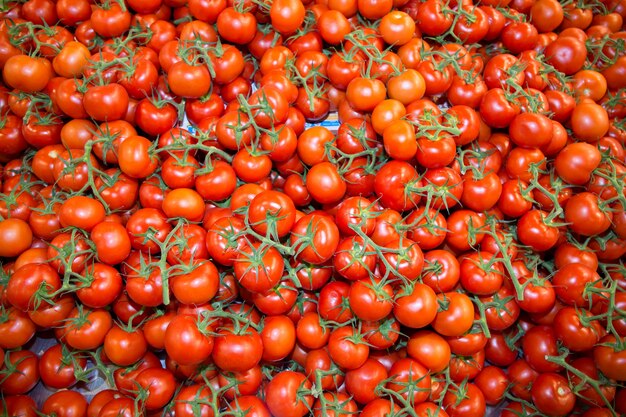 Foto de tomates muy frescos presentada sobre fondo blanco.