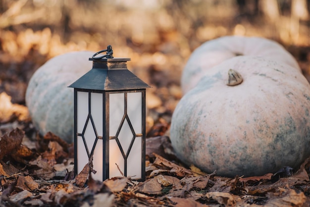 Foto foto tonificada de abóboras de halloween ao ar livre em folhagem dourada com lanterna conceito de halloween de bela composição de outono
