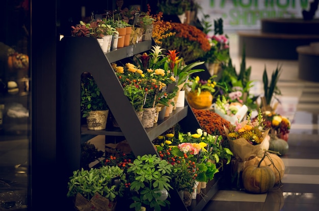 Foto de tonos de soporte de madera con flores en floristería