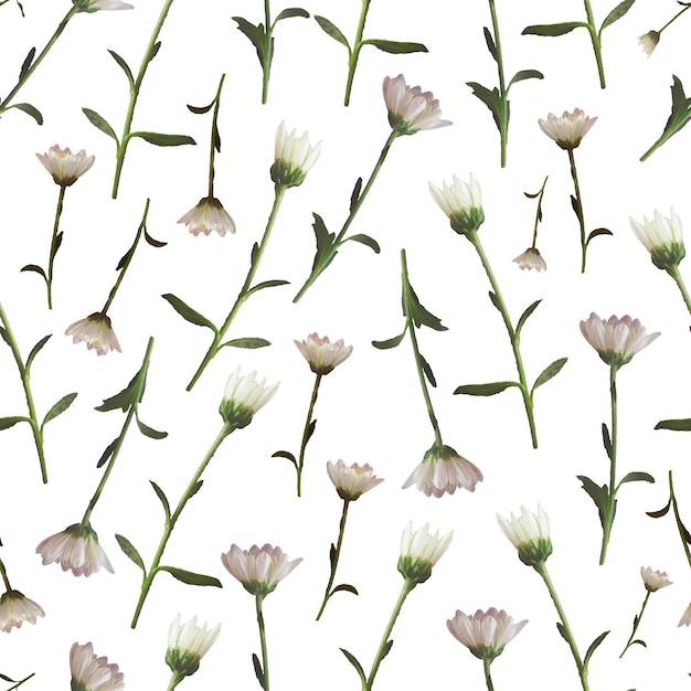 Foto und digitales nahtloses Muster mit Natur-Chrysanthemen-Blumen