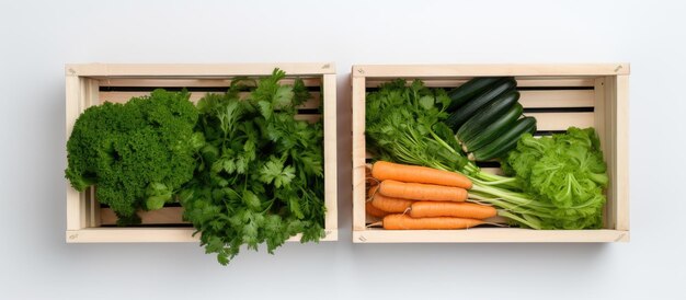 Foto de una variedad de verduras frescas expuestas en cajas de madera con espacio para copiar