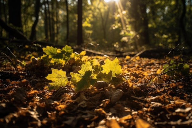 Foto verde da paisagem da floresta IA generativa