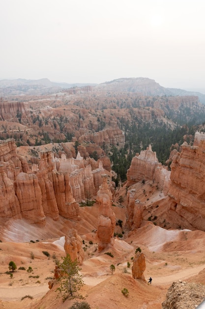 Foto vertical de terras ermas cercadas por vegetação no Parque Nacional Bryce Canyon em Utah, os EUA