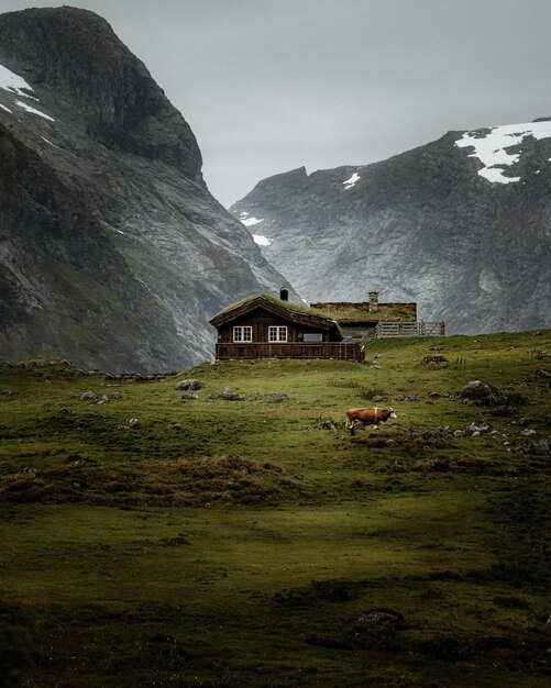 Foto vertical de uma casa de madeira com vaca em um terreno montanhoso cercado por montanhas na Noruega