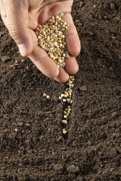 Foto vertical de uma mão plantando sementes no solo - conceito agrícola