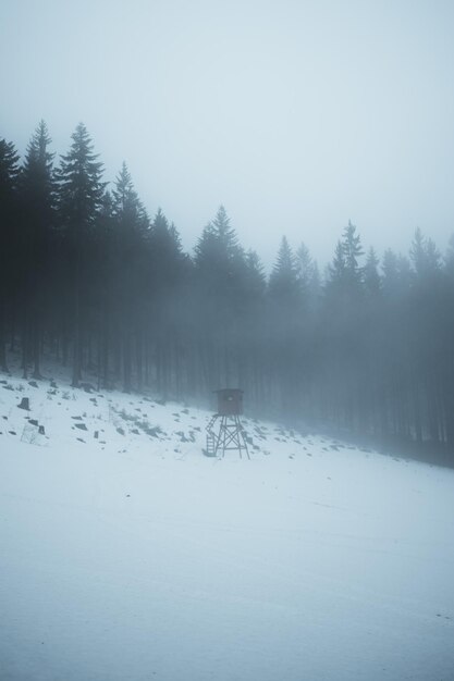 Foto vertical de uma pequena torre de vigia em uma floresta coberta de neve e neblina no inverno