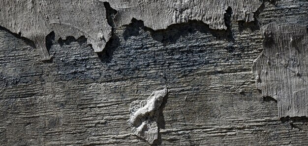 foto de la vieja superficie de madera con textura natural