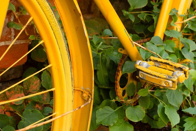 Foto vintage bicicleta amarilla sobre hierba verde