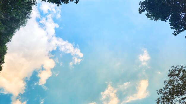 Foto foto de una vista de las nubes con el bosque debajo