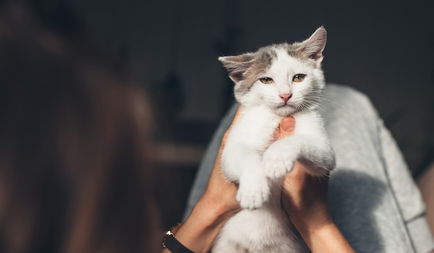 Foto de vista posterior de una mujer caucásica sosteniendo un gato en las manos y mirándola acostada en la cama