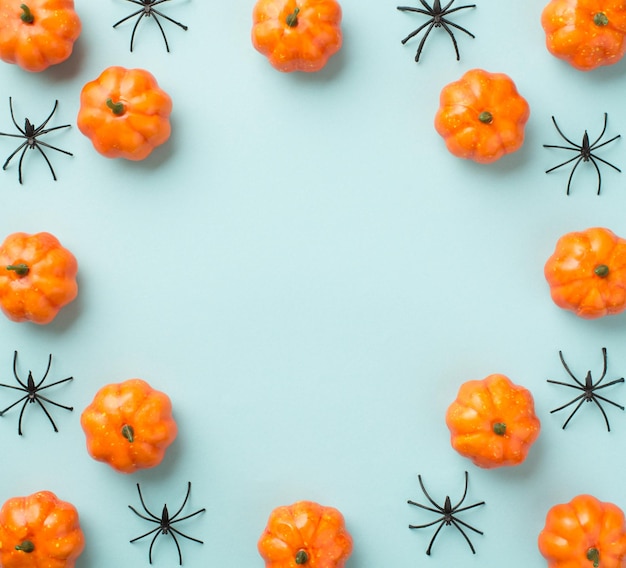 Foto de vista superior de calabazas y arañas de composición de decoraciones de halloween sobre fondo azul pastel aislado con espacio de copia en el medio