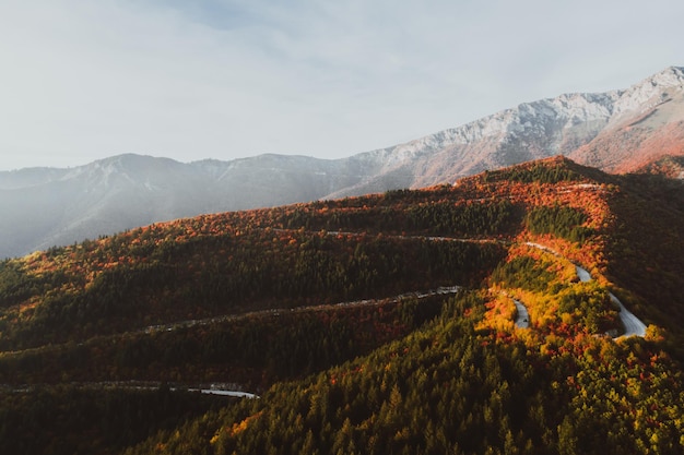 Foto de vista superior de un camino forestal en otoño