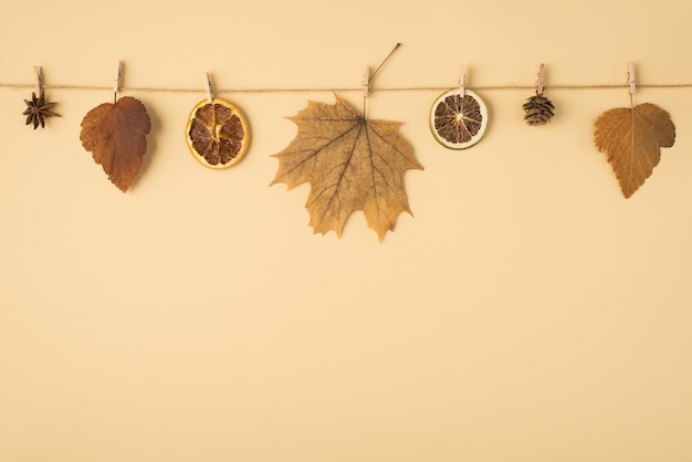 Foto de vista superior de cono de anís de hojas de otoño marrones y rodajas de cítricos secas unidas a una cuerda de cordel con pinzas de madera sobre fondo naranja pastel aislado con espacio de copia