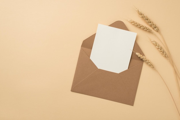 Foto de vista superior de sobre de papel kraft abierto con tarjeta blanca y espiguillas de trigo sobre fondo beige aislado con espacio en blanco