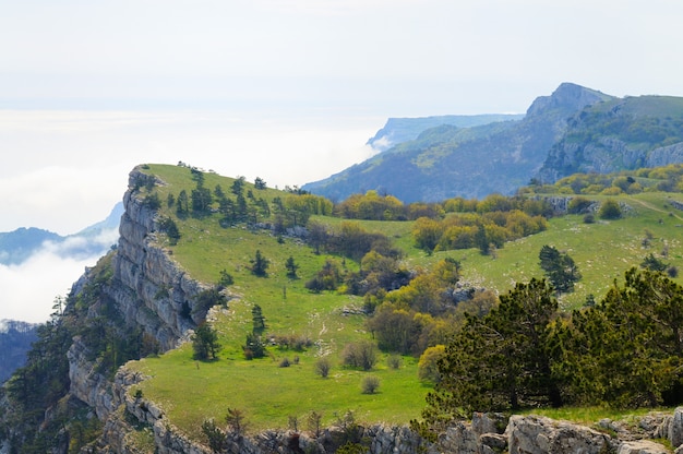 Foto vom obersten Berg, Baum wächst auf Felsen, schönem Horizont und blauem Himmel mit weißen Wolken