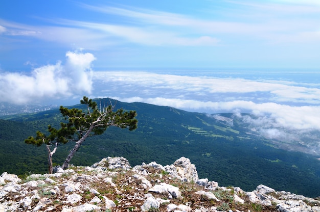 Foto von der Spitze des Berges, schöner Horizont