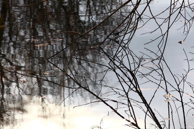 Foto foto von erholung im freien im wald