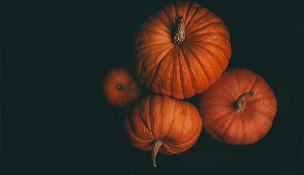 Foto von oben von vier orangefarbenen Kürbissen auf schwarzem Hintergrund Halloween-Feier