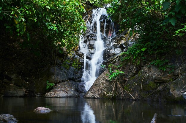 Foto von Wasserfall in der Natur