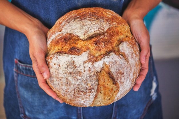 Fotodetail von weiblichen Händen, die ein handwerkliches Brot halten, das in zwei Hälften mit einer blauen Küchenschürze gebrochen ist.