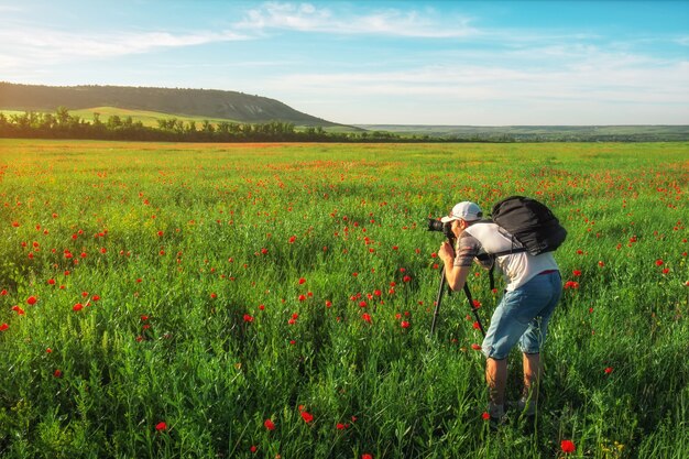 Fotograf fotografiert Feld mit Mohn bei Sonnenuntergang pop