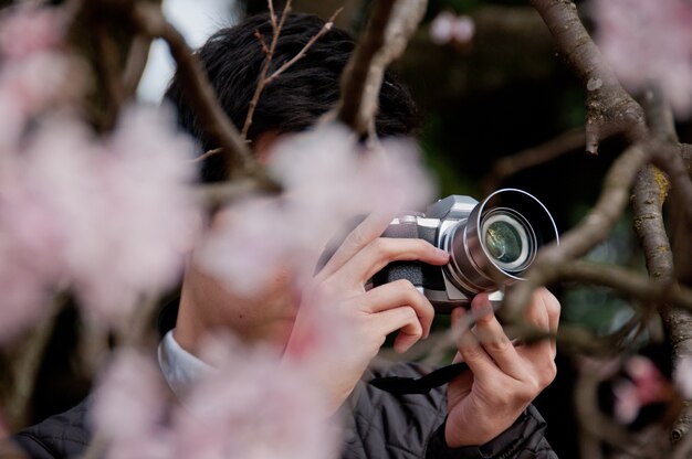 Fotograf mit schöner rosa Blüte der vollen Blüte Kirschblüte sakur