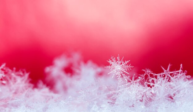 Fotografe flocos de neve reais durante uma nevasca, em condições naturais a baixa temperatura