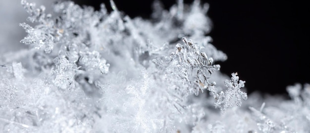 Fotografe flocos de neve reais durante uma nevasca, em condições naturais a baixa temperatura