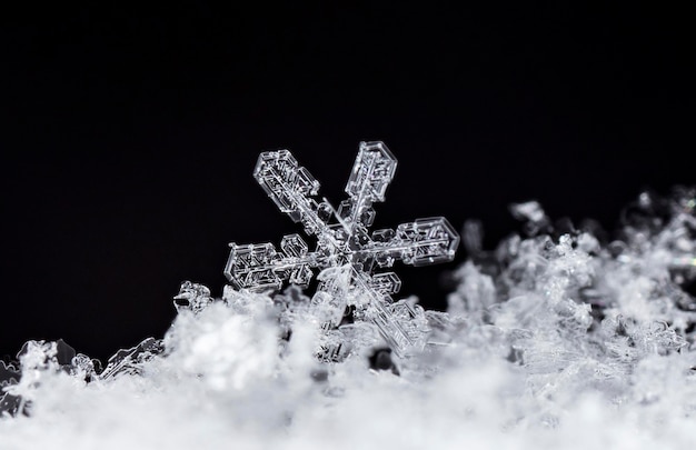 Fotografe flocos de neve reais durante uma nevasca, em condições naturais a baixa temperatura