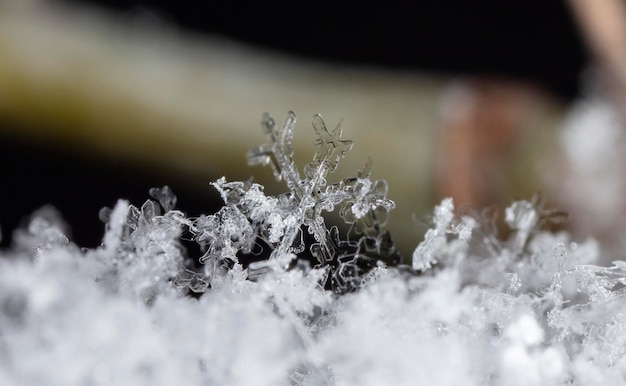 Fotografe flocos de neve reais durante uma nevasca, em condições naturais a baixa temperatura