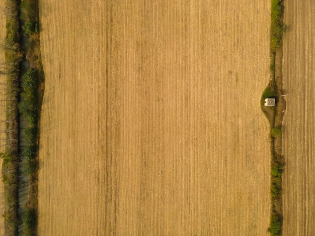 Fotografía aérea de campos de arroz en la campiña china en otoño