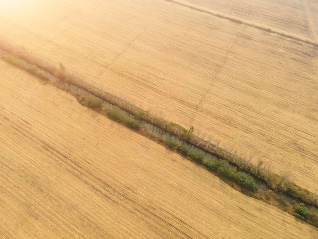 Fotografia aérea de campos de arroz no interior da china no outono