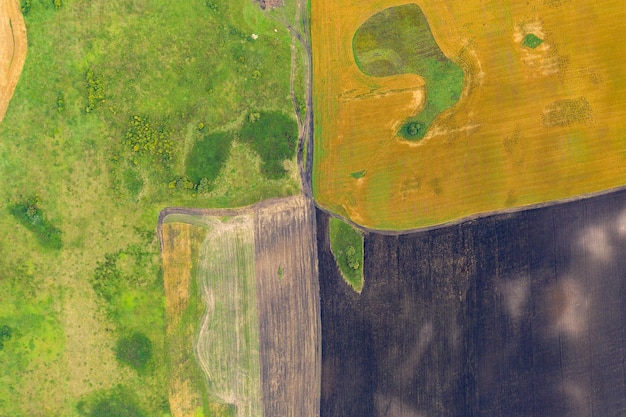 Fotografia aérea de cima de um drone de uma terra com campos verdes semeados no campo