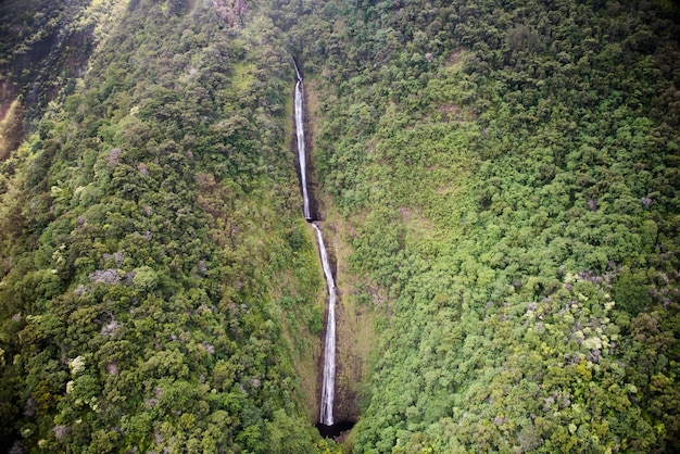 Foto fotografia aérea de uma cascata dupla em um remoto havaí com duas piscinas em um penhasco verde