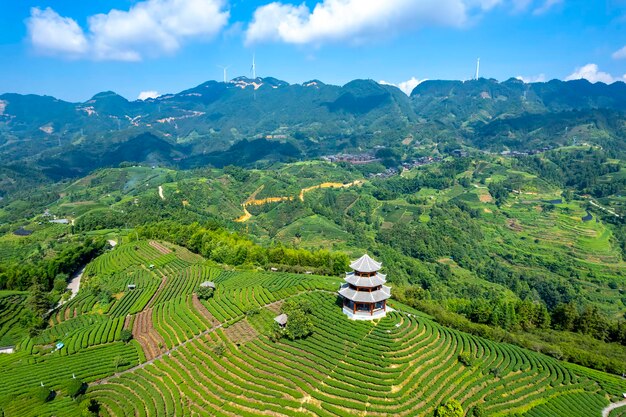 Fotografia aérea dos campos de chá ecológico alpino de Sanjiang Buyang Xianren