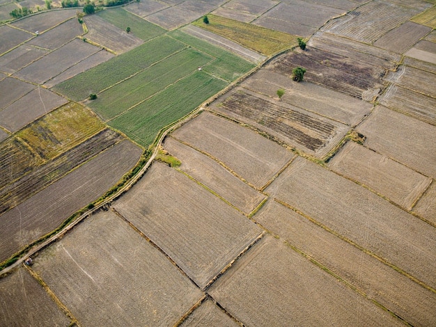 Fotografía aérea de una gran parcela agrícola preparándose para cultivar arroz, fotografía con drones