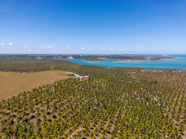 Fotografía aérea de Praia Do Gunga en el noreste de Alagoas, Brasil