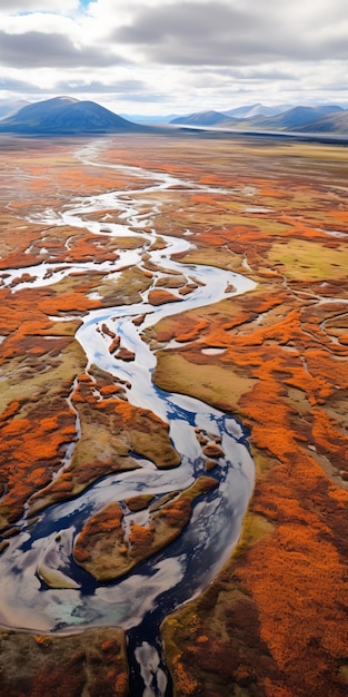 Fotografía aérea de los ríos de otoño en el paisaje ártico