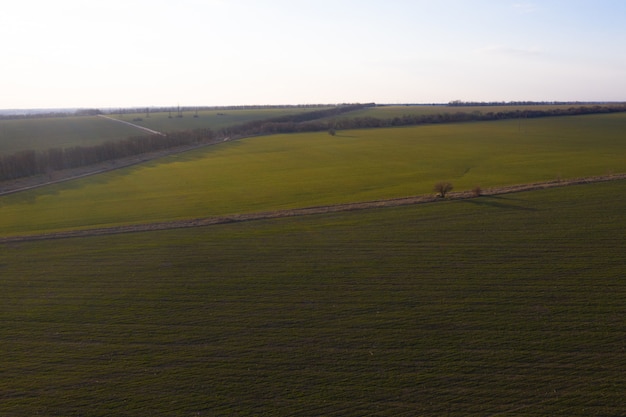 Fotografía con aerógrafo de un campo verde desde una altura. Cielo azul.