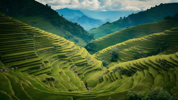 Foto fotografía de alto ángulo de un hermoso paisaje en las terrazas de arroz de banaue, provincia de ifugao, filipinas