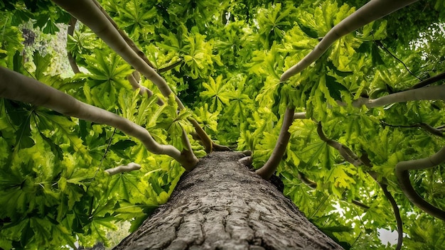 Fotografía de ángulo alto de hojas verdes en crecimiento en un viejo tronco de árbol