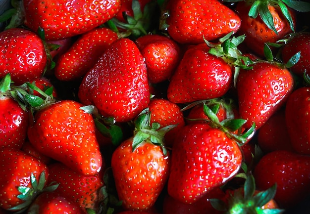 Fotografia aproximada de morango fresco deitado na águaVista superior muitas frutas frescas