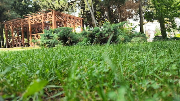 Fotografía de árboles y banco y mirador en el jardín del parque