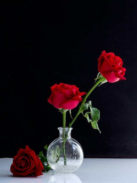 Fotografía artística: rosas