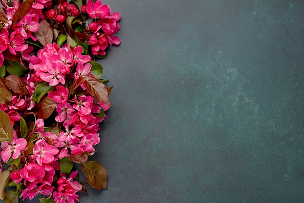 Fotografía en blanco de flores rosas