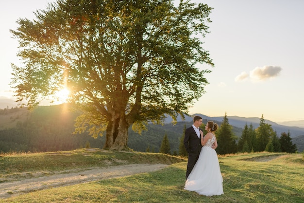 Foto fotografía de bodas en las montañas. los recién casados se abrazan y se miran a los ojos contra el paisaje de una haya centenaria.