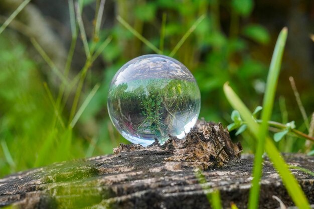 fotografía de bola de cristal de lente con fondo de hierba